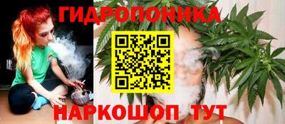 хмурый Тара